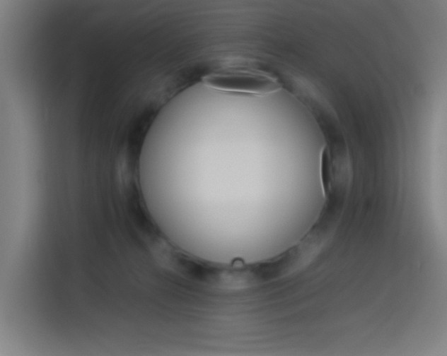 X0000114170272200910081119