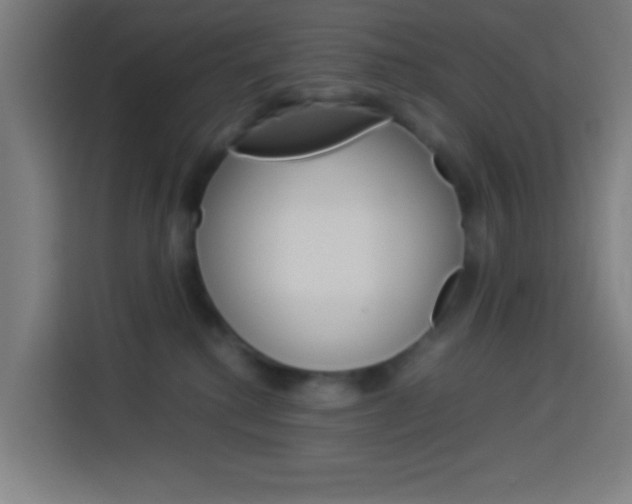 X0000114170280200910081119
