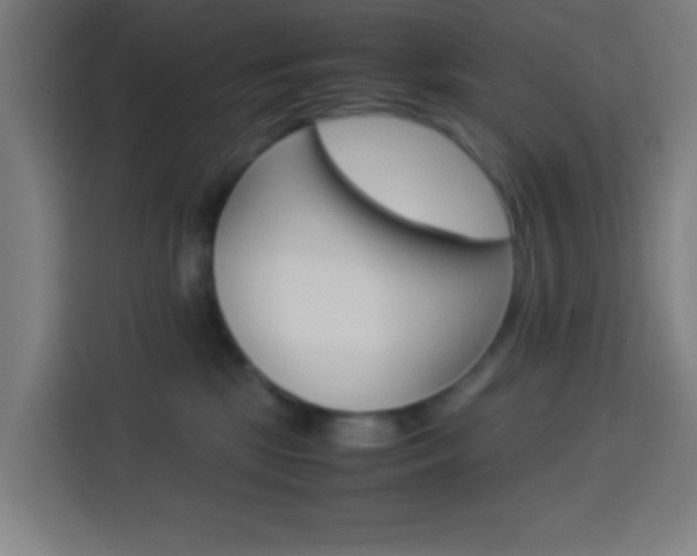 X0000114170281200910081119