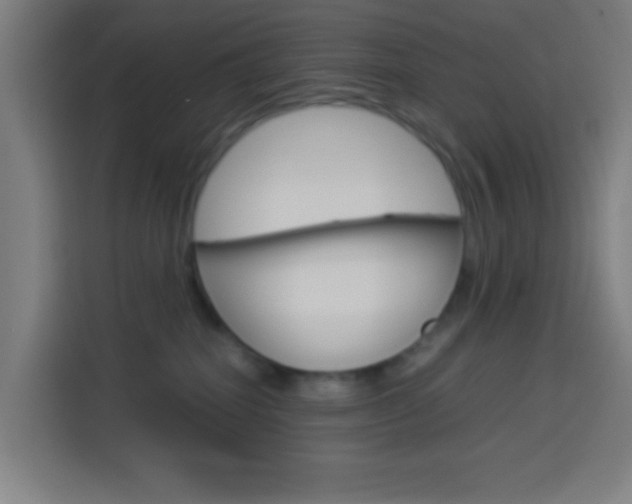 X0000114170282200910081119