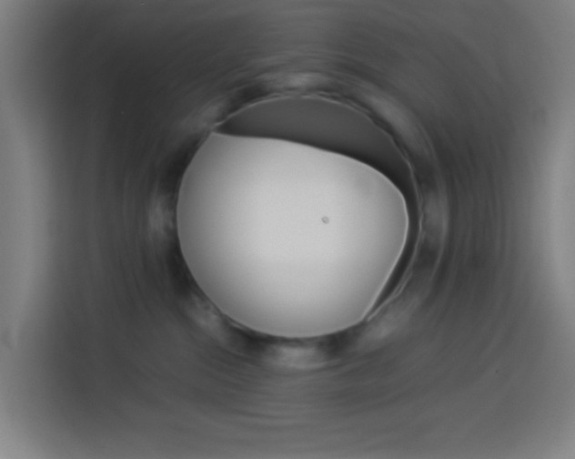 X0000114170284200910081119