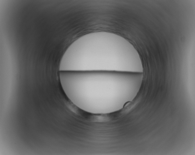 X0000114170286200910081119