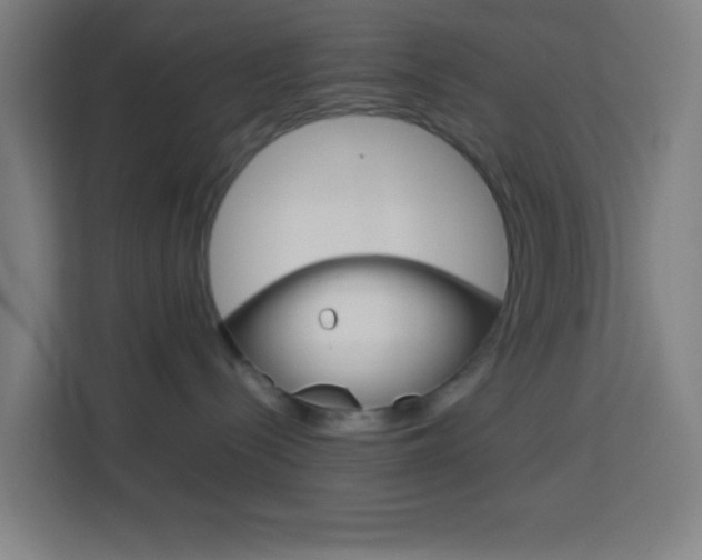 X0000114170288200910081119