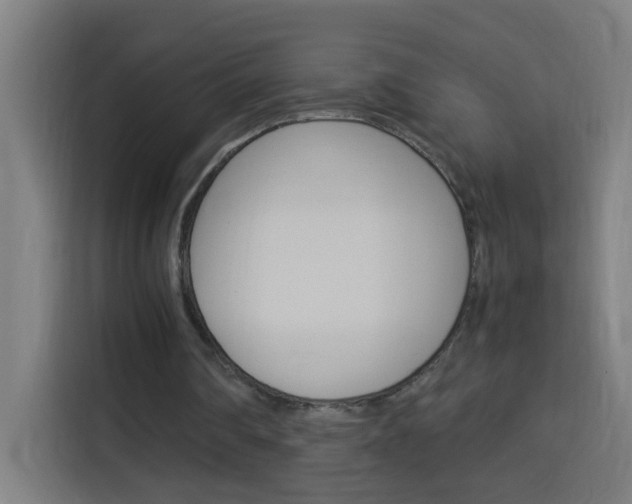 X0000114170290200910081119