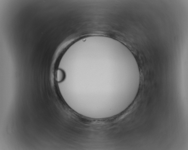 X0000114170294200910081119