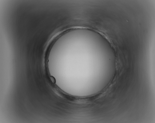X0000114170296200910081119