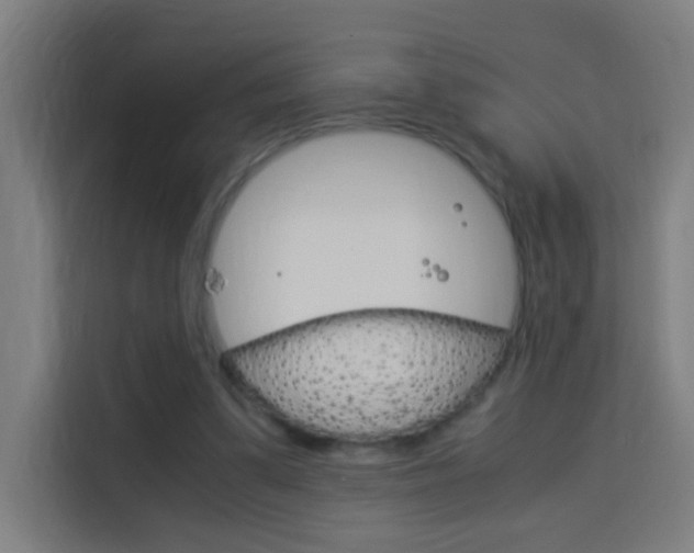 X0000114170299200910081119