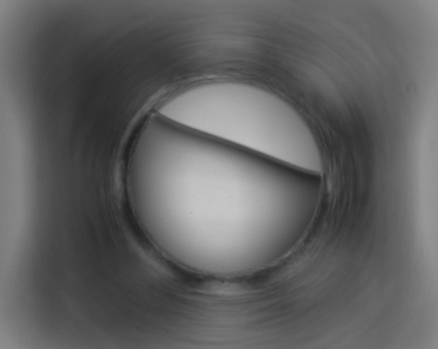 X0000114170300200910081119