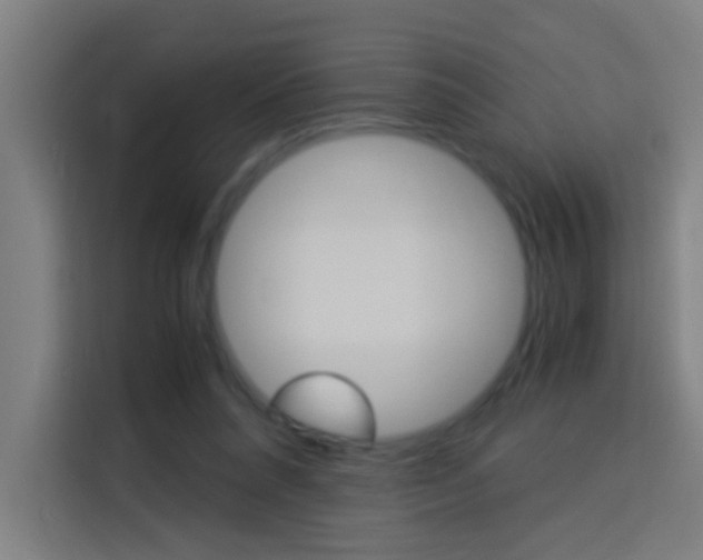 X0000114170304200910081119