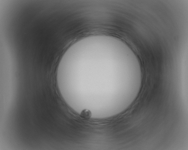X0000114170305200910081119