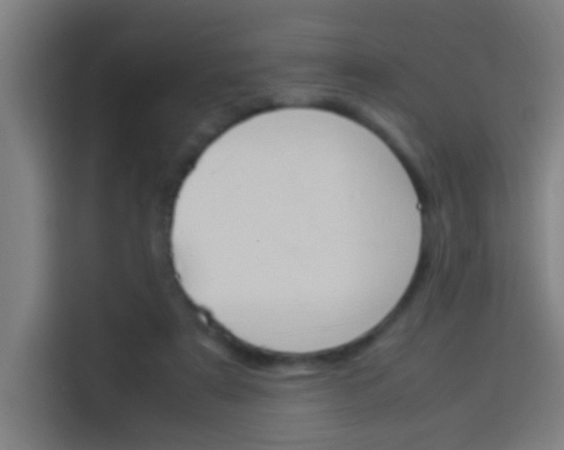 X0000114170307200910081118