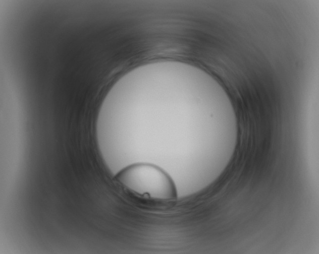 X0000114170308200910081118