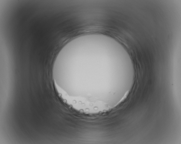 X0000114170309200910081118