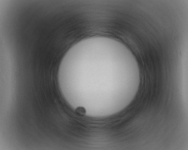 X0000114170316200910081118