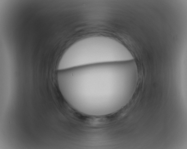 X0000114170323200910081118