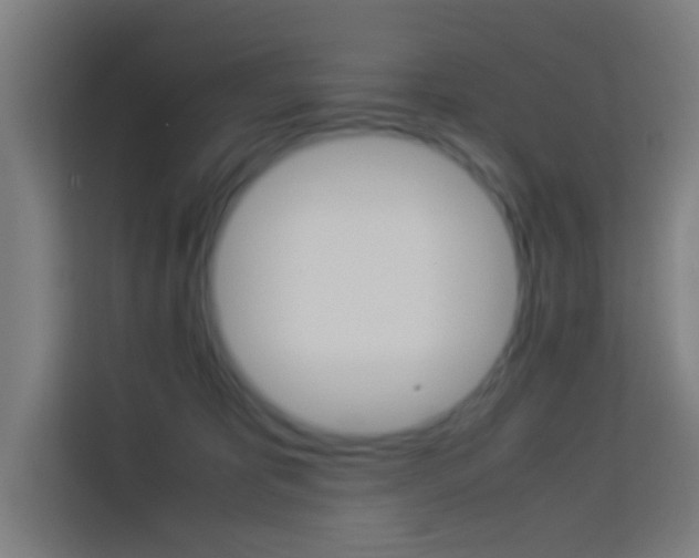 X0000114170325200910081118