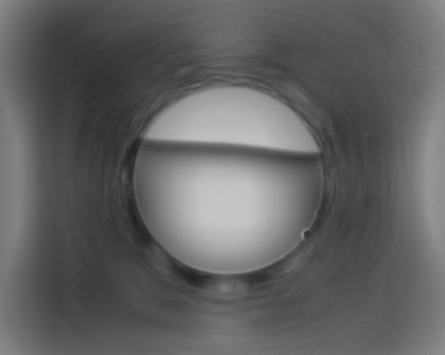 X0000114170327200910081118