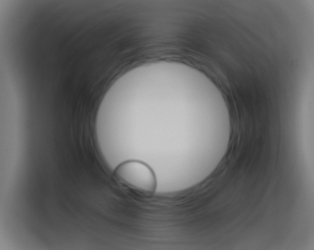 X0000114170328200910081118