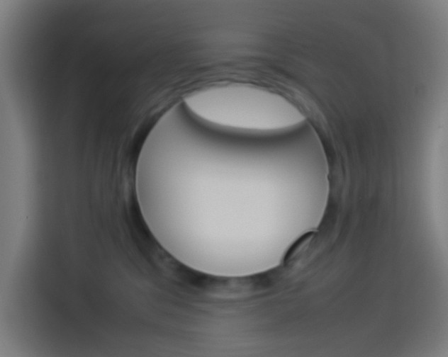 X0000114170329200910081118