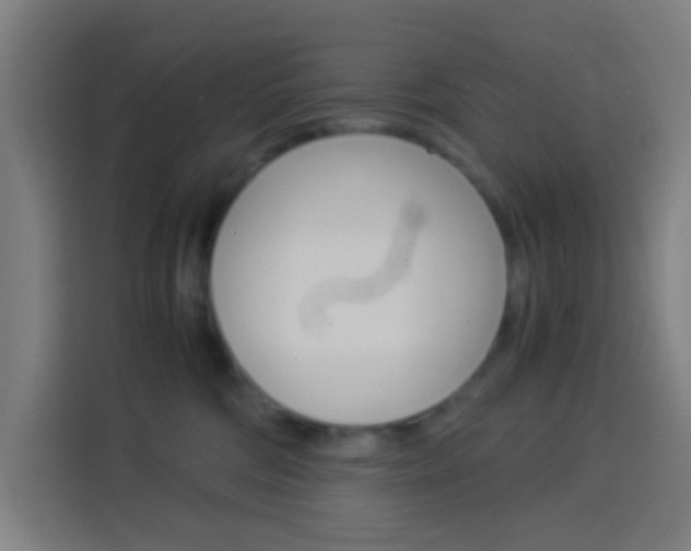 X0000114170330200910081118