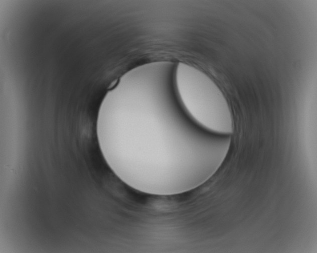 X0000114170331200910081118