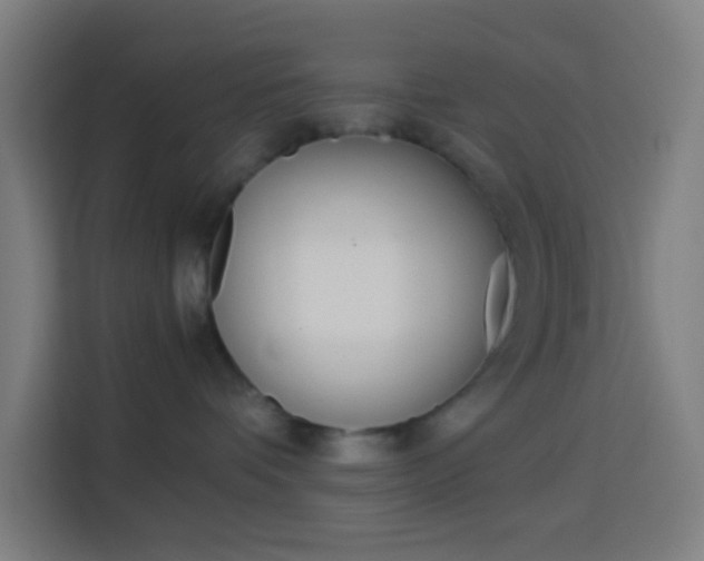 X0000114170336200910081118