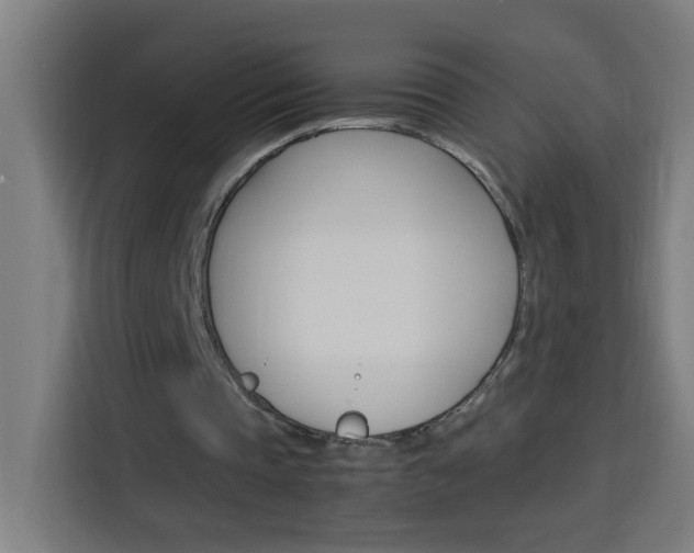 X0000114170337200910081117