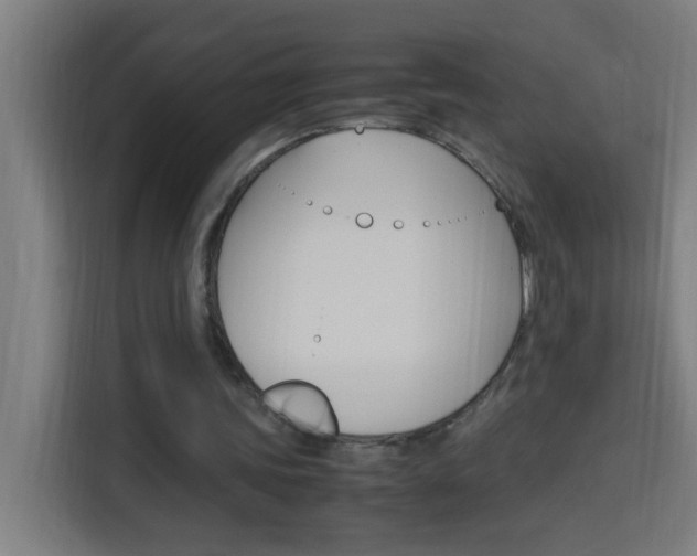 X0000114170339200910081118