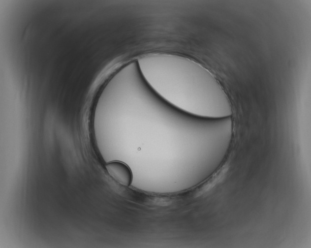 X0000114170341200910081118
