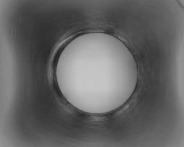 X0000114170343200910081118
