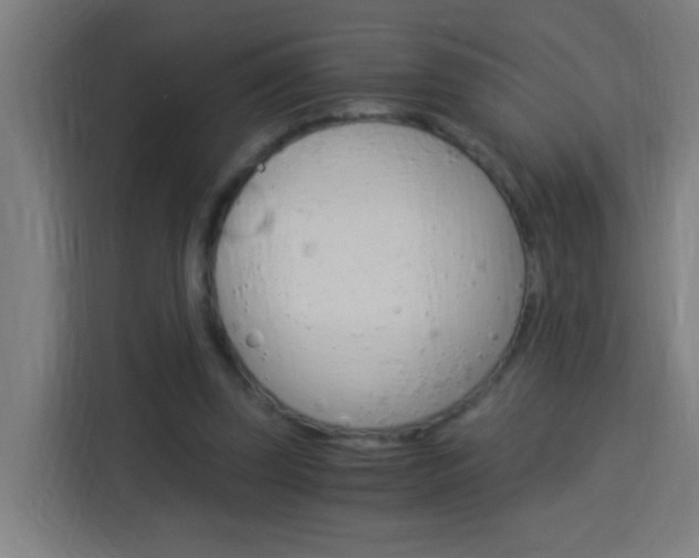 X0000114170347200910081118