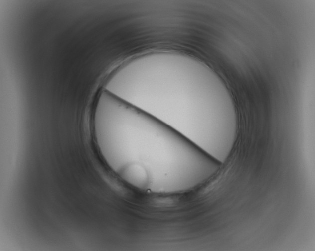 X0000114170349200910081118