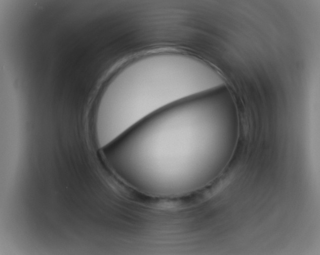 X0000114170350200910081118