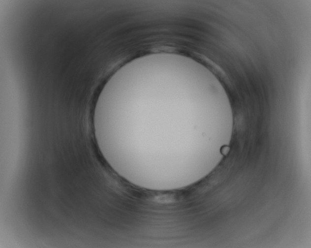 X0000114170353200910081118