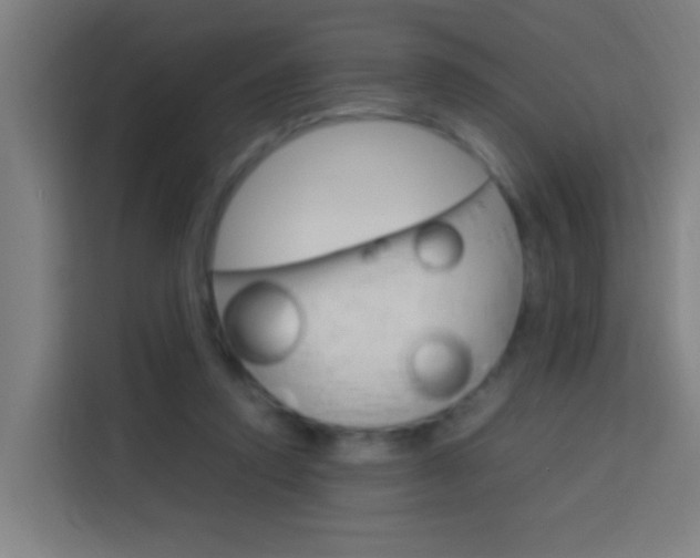 X0000114170354200910081118