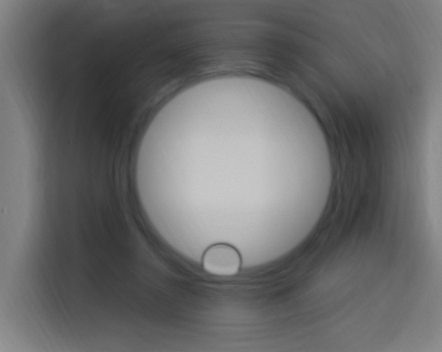 X0000114170356200910081118