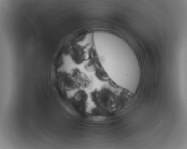 X0000114170361200910081118