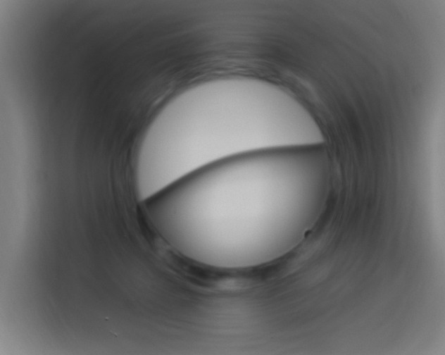 X0000114170364200910081118