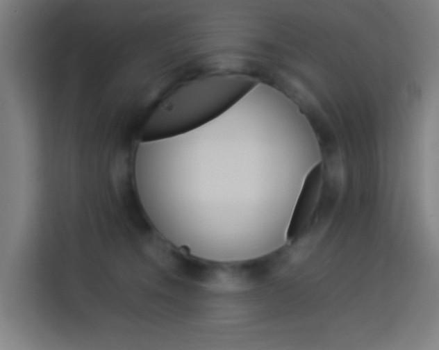 X0000114170372200910081118
