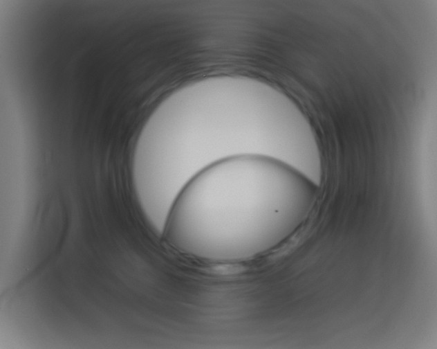 X0000114170376200910081118