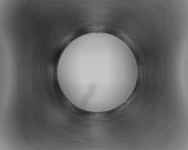 X0000114170378200910081118