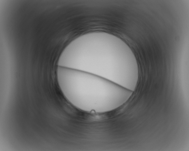X0000114170379200910081118