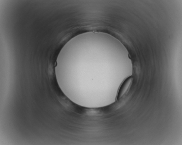 X0000114170380200910081118