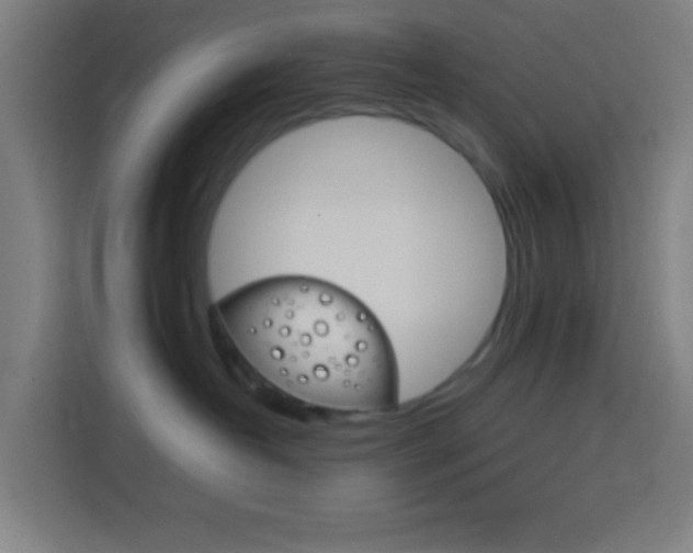 X0000114170382200910081118