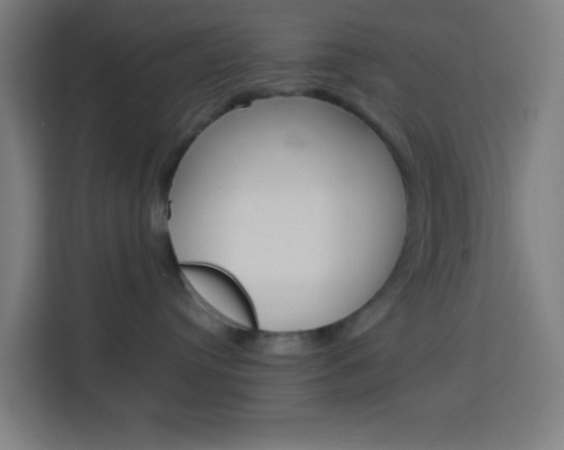 X0000114170384200910081118