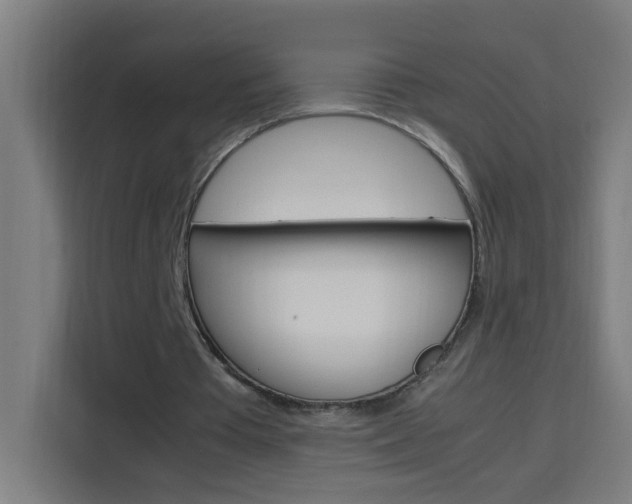 X0000114170385200910081117