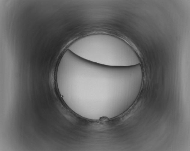 X0000114170386200910081117