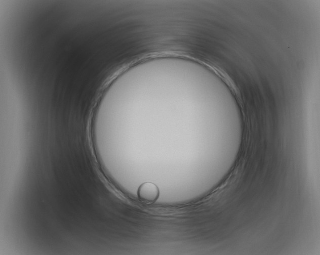 X0000114170389200910081117