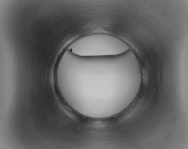 X0000114170390200910081117