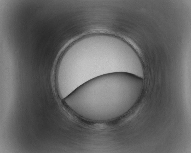 X0000114170391200910081117